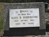 image of grave number 879315